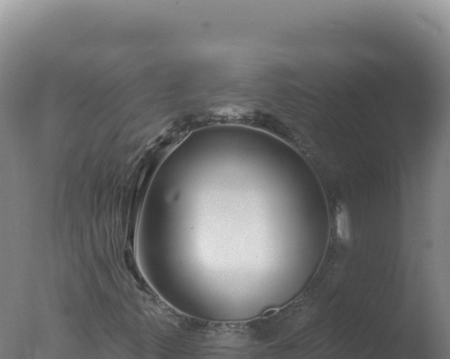 X0000077371347200610271909