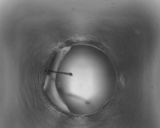 X0000077371348200610271909