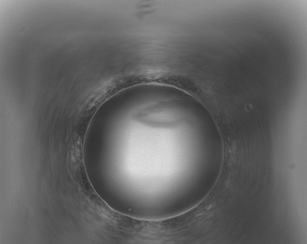 X0000077371349200610271909