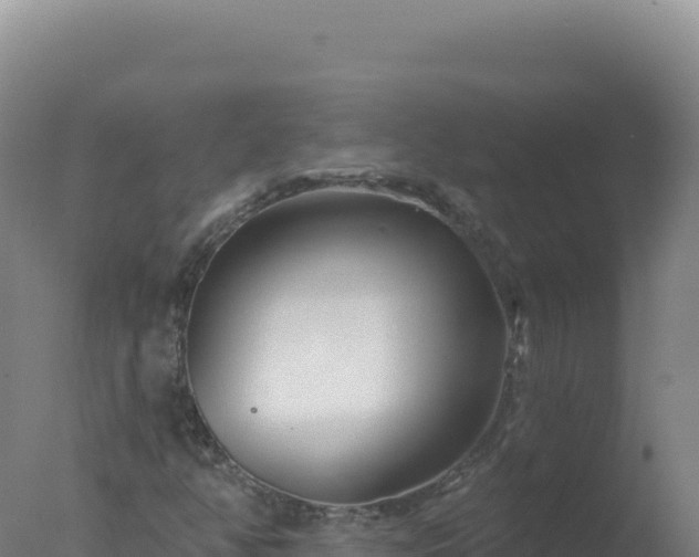 X0000077371350200610271909