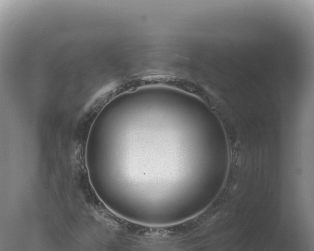 X0000077371351200610271909