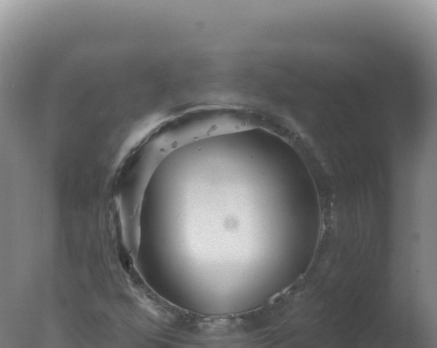 X0000077371352200610271909