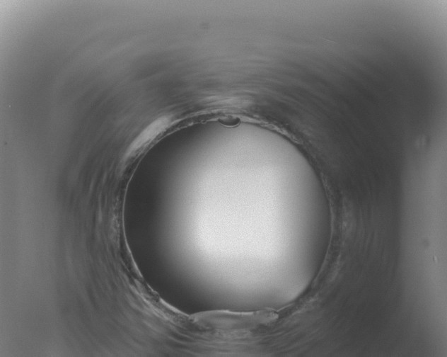 X0000077371354200610271909