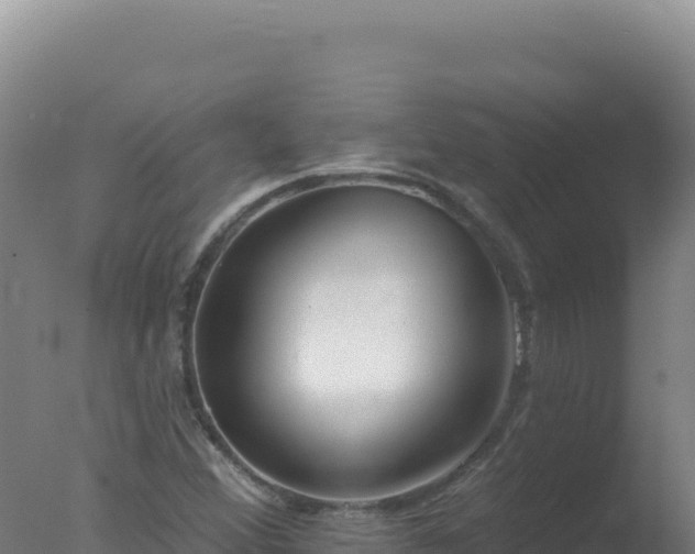 X0000077371356200610271909