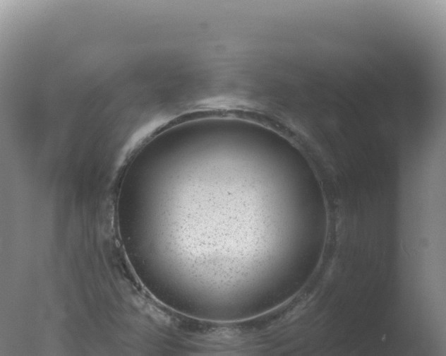 X0000077371358200610271909