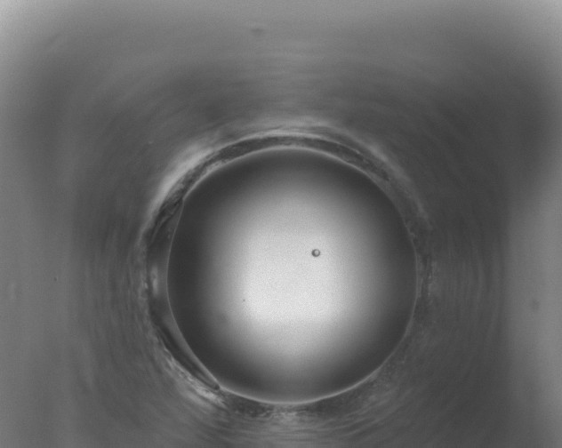 X0000077371360200610271909