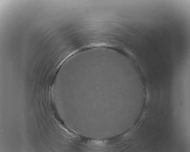 X0000077371361200610271909