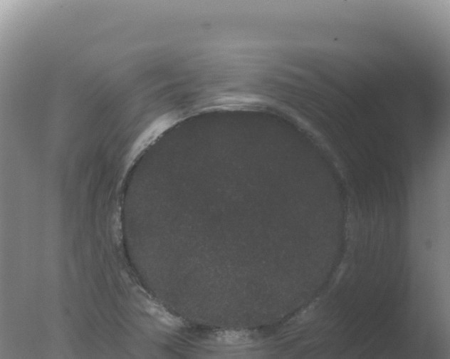 X0000077371362200610271909