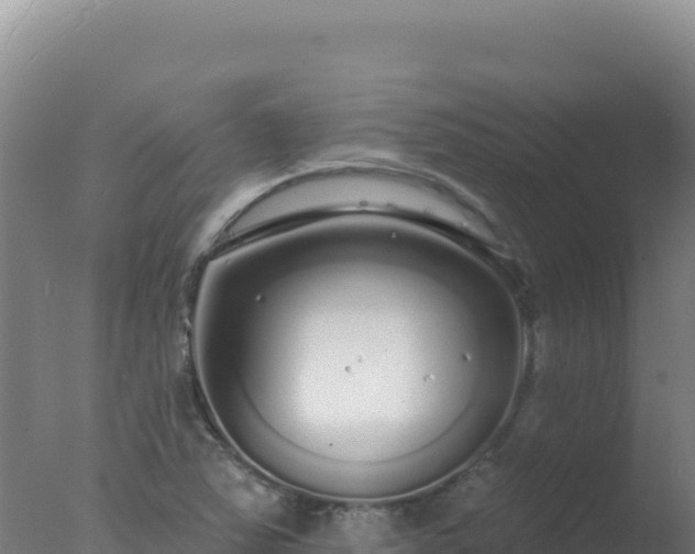 X0000077371363200610271909