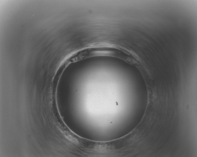 X0000077371364200610271909