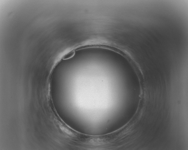 X0000077371366200610271909