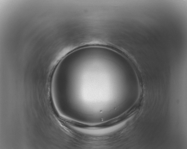 X0000077371367200610271909