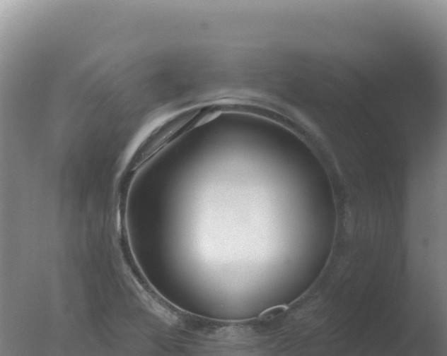 X0000077371368200610271909