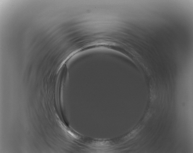 X0000077371369200610271909