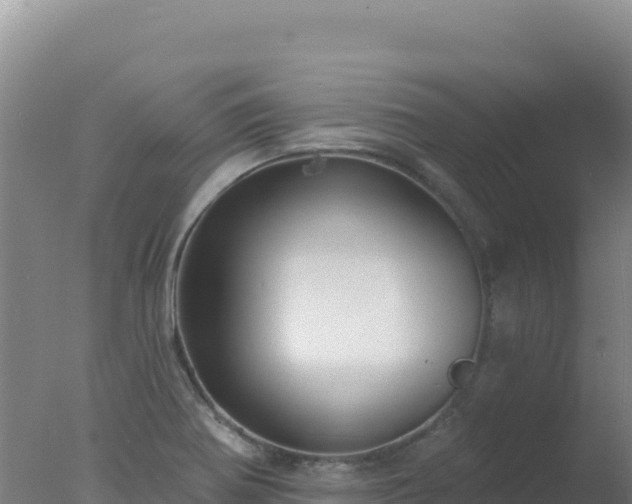 X0000077371370200610271909