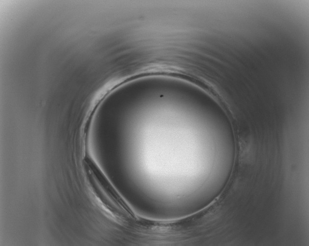 X0000077371371200610271909