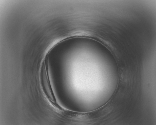 X0000077371375200610271909