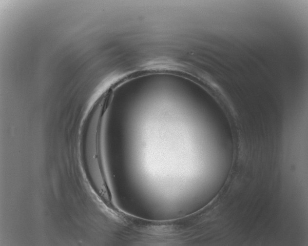 X0000077371376200610271909