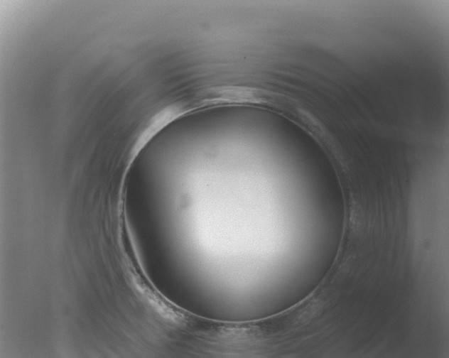 X0000077371378200610271909