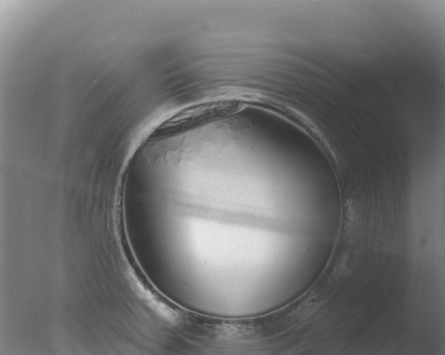 X0000077371379200610271909