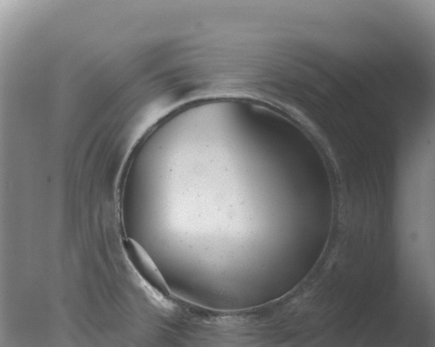 X0000077371380200610271909