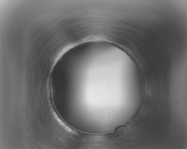 X0000077371382200610271909