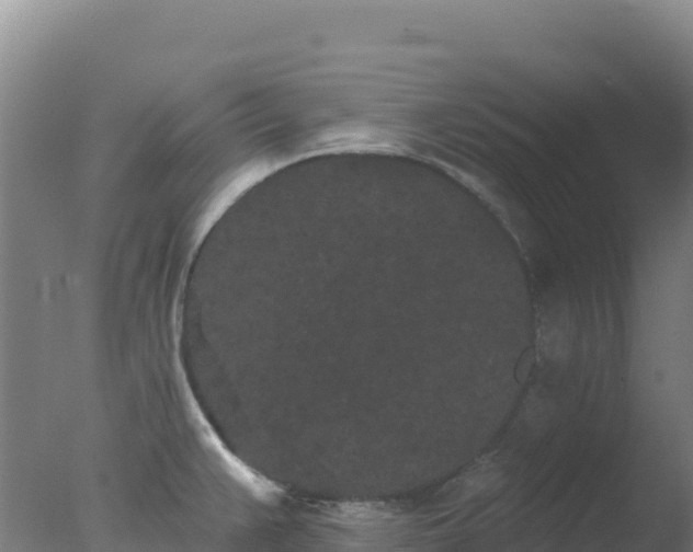 X0000077371383200610271909