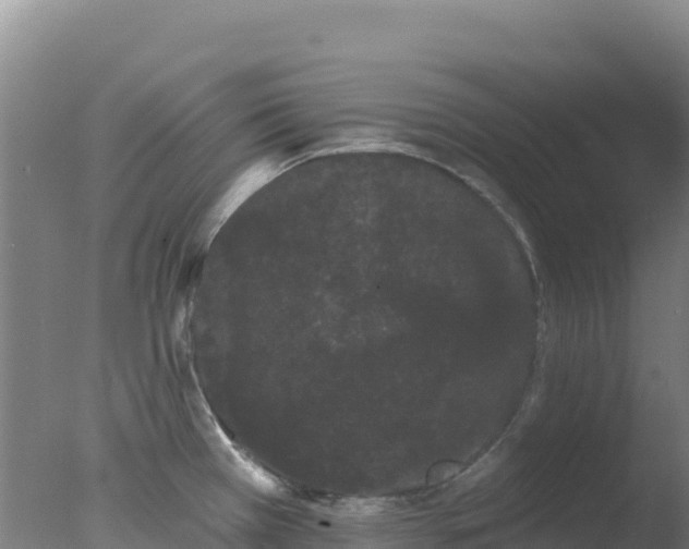 X0000077371385200610271909