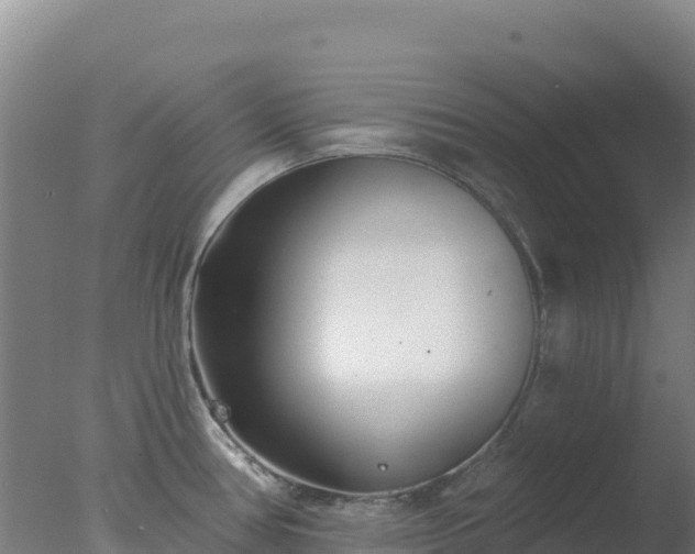 X0000077371386200610271909