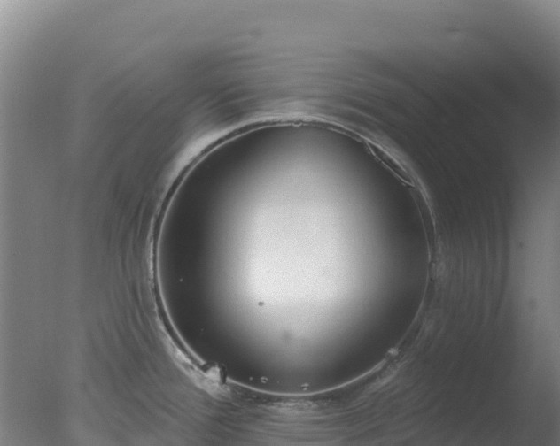 X0000077371388200610271909