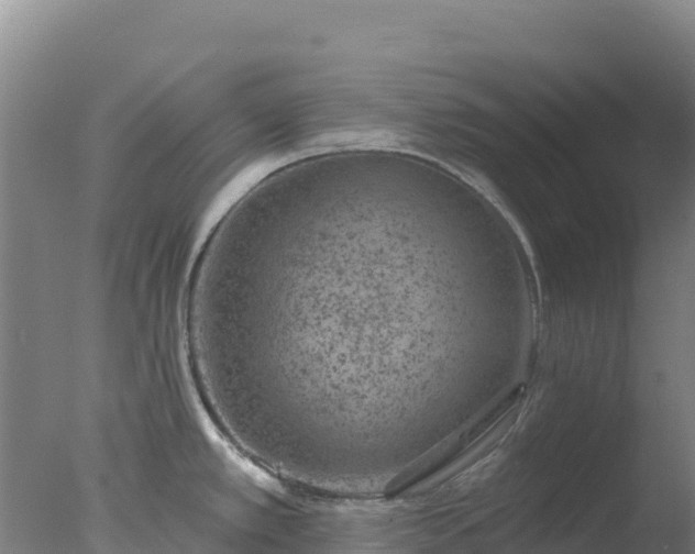 X0000077371389200610271909