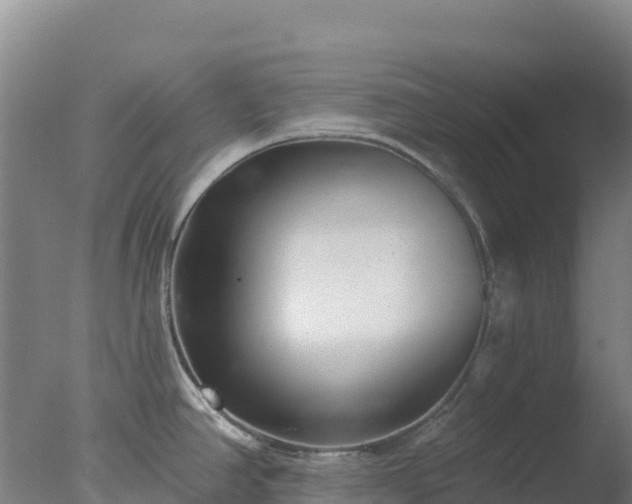 X0000077371390200610271909