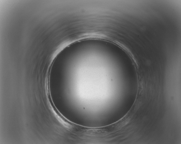 X0000077371391200610271908