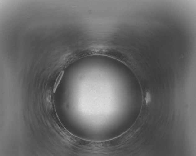 X0000077371396200610271908