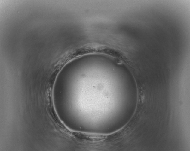 X0000077371397200610271908