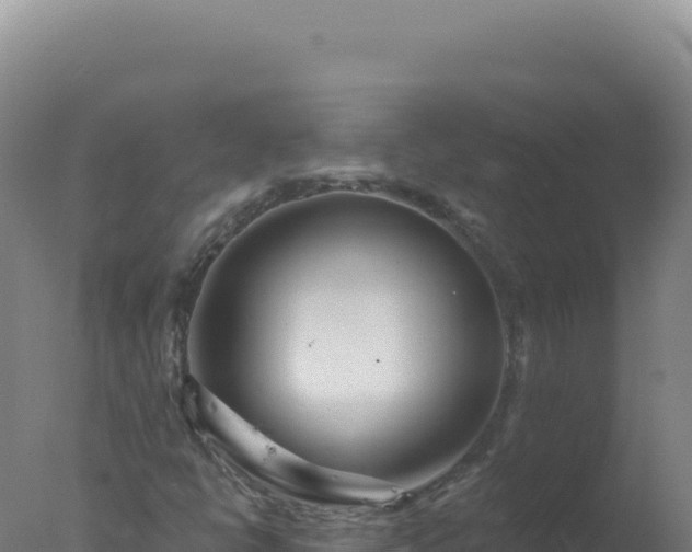 X0000077371398200610271908