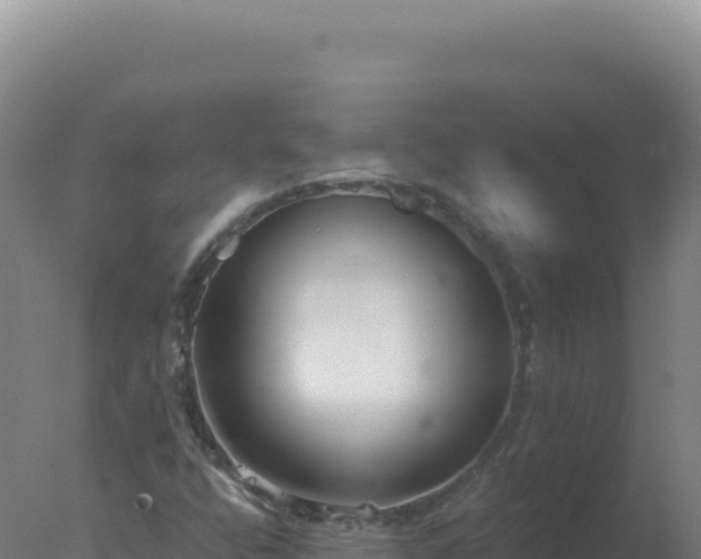 X0000077371400200610271908