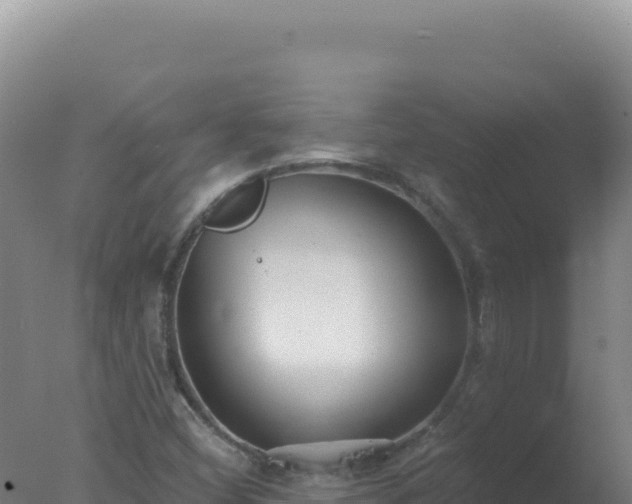 X0000077371404200610271908