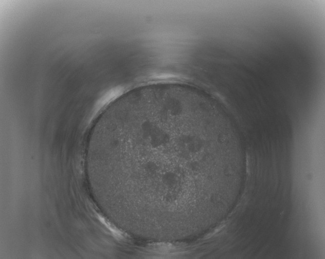 X0000077371405200610271908