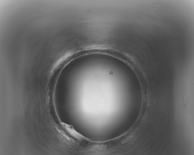 X0000077371406200610271908