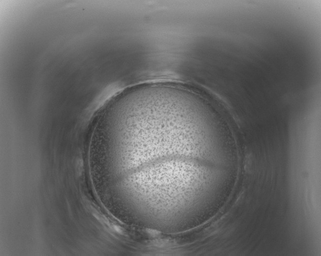 X0000077371407200610271908