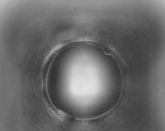 X0000077371408200610271908