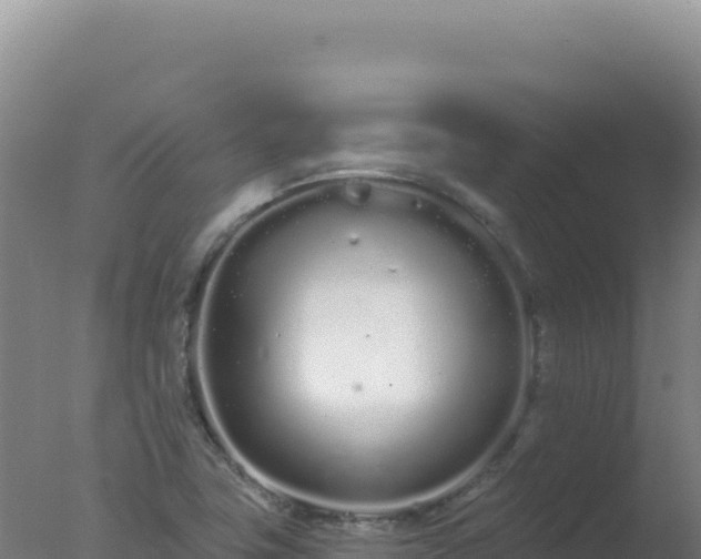 X0000077371411200610271908