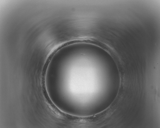 X0000077371412200610271908