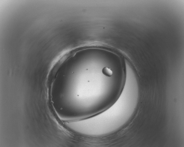 X0000077371414200610271908