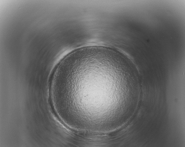 X0000077371415200610271908