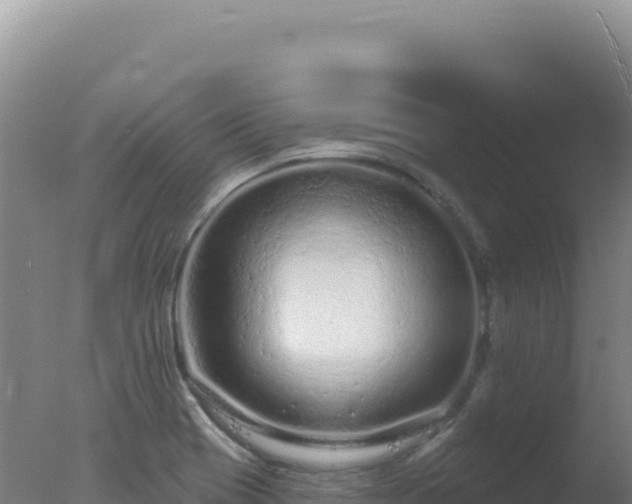 X0000077371417200610271908