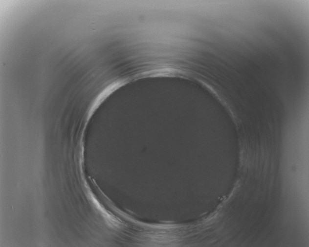 X0000077371418200610271908