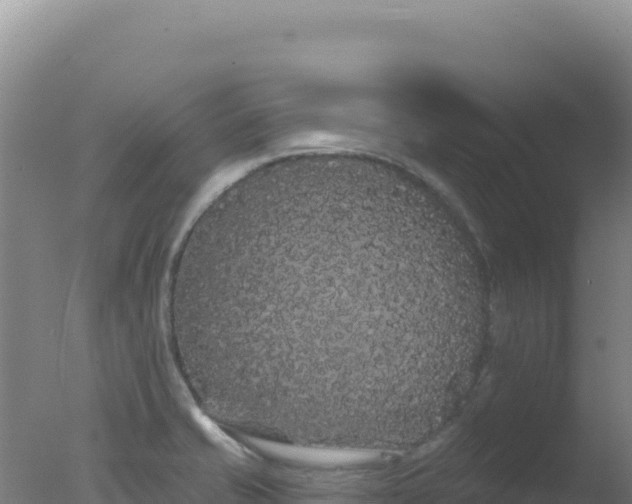 X0000077371421200610271908