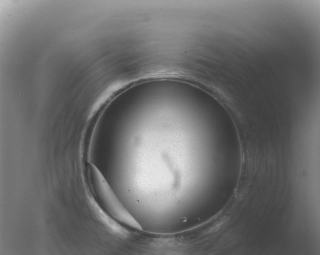 X0000077371422200610271908